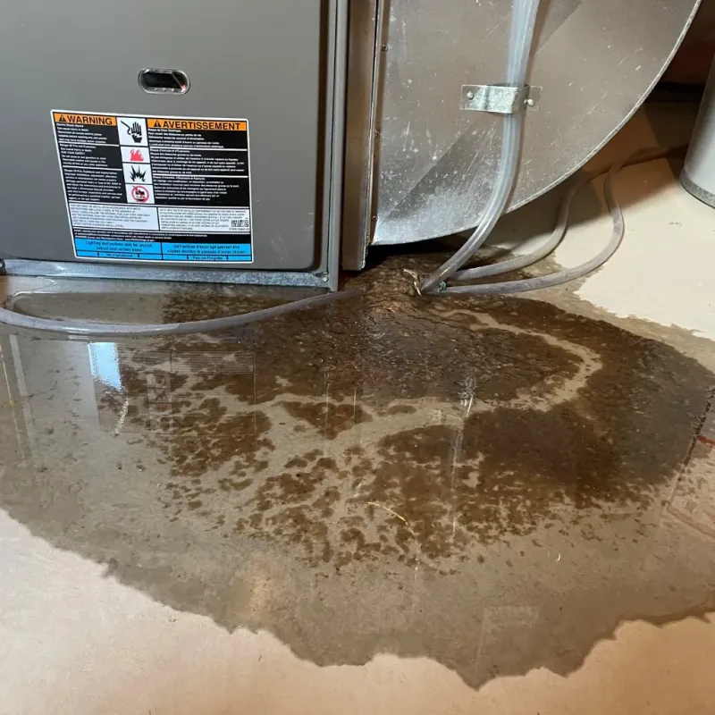 Appliance Leak Cleanup in Storey County, NV